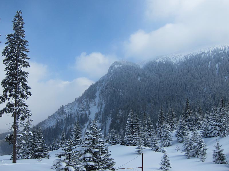 Kuhschneeberg